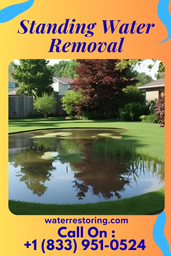Standing Water Removal in Welty, OK